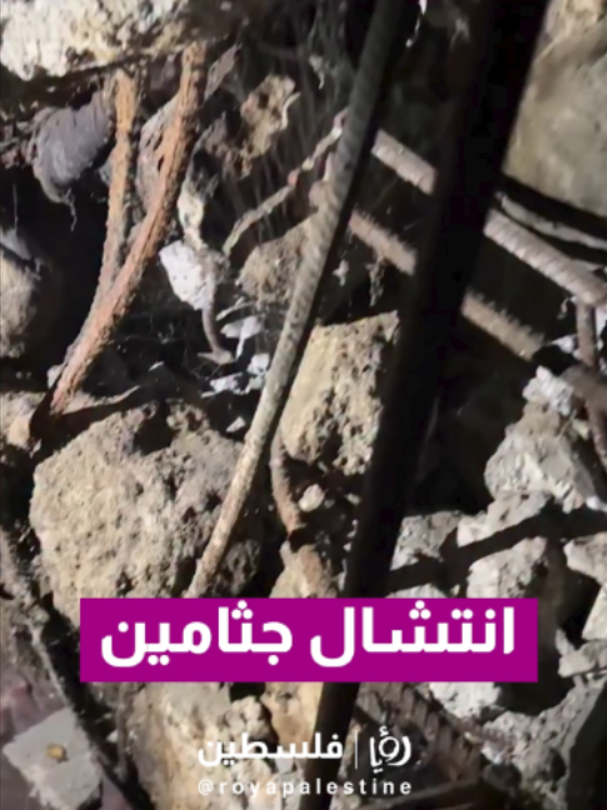 @Royapalestine رؤيا فلسطين