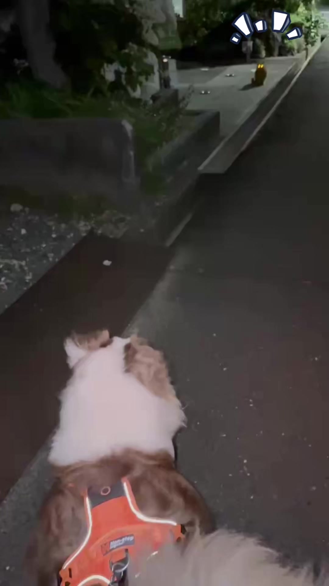 @サン&タマ