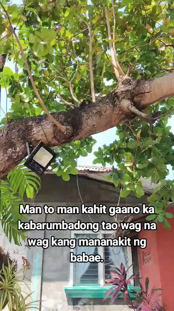 @f.rxncIs