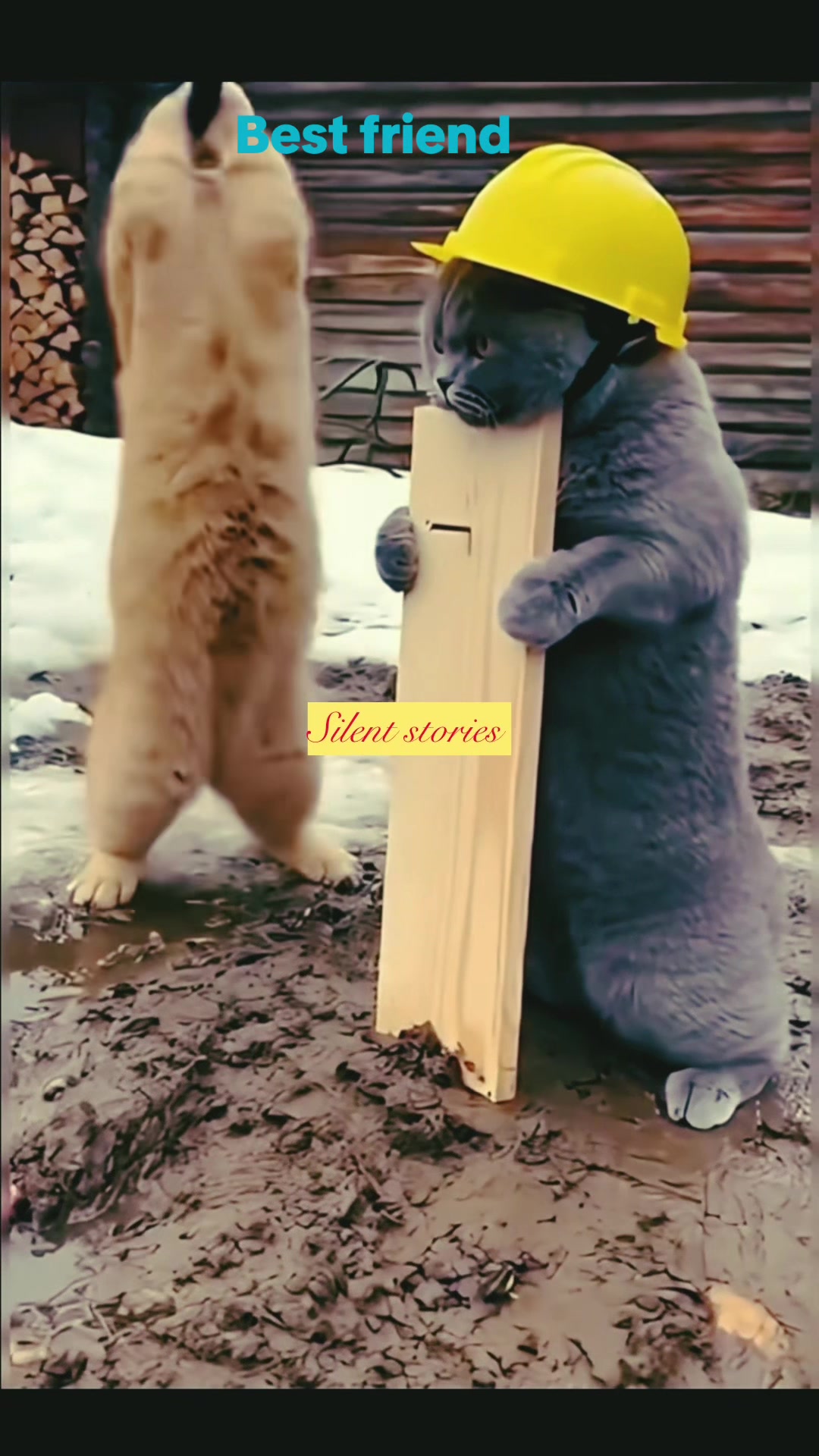 @creativezone777