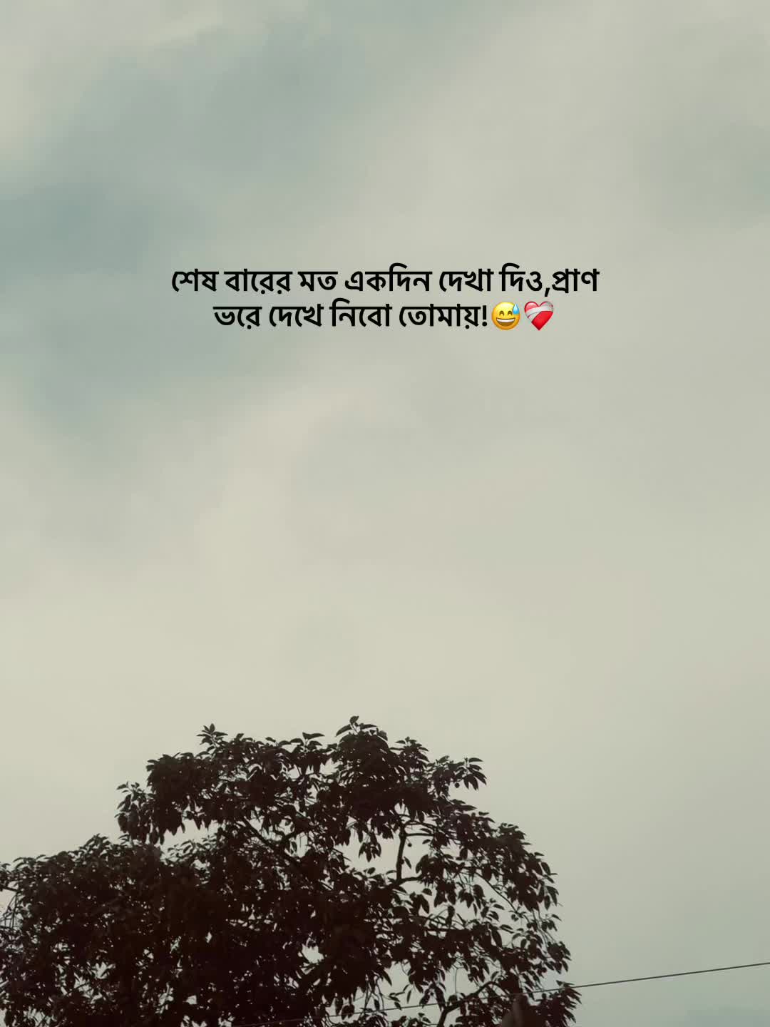 @mee.rocky🧃