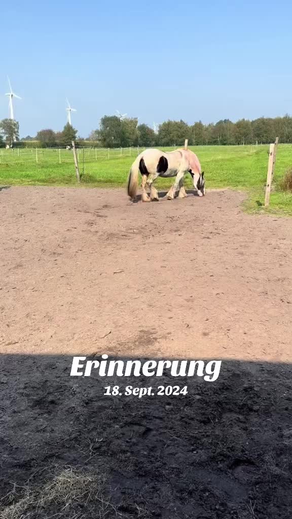@serenety1700