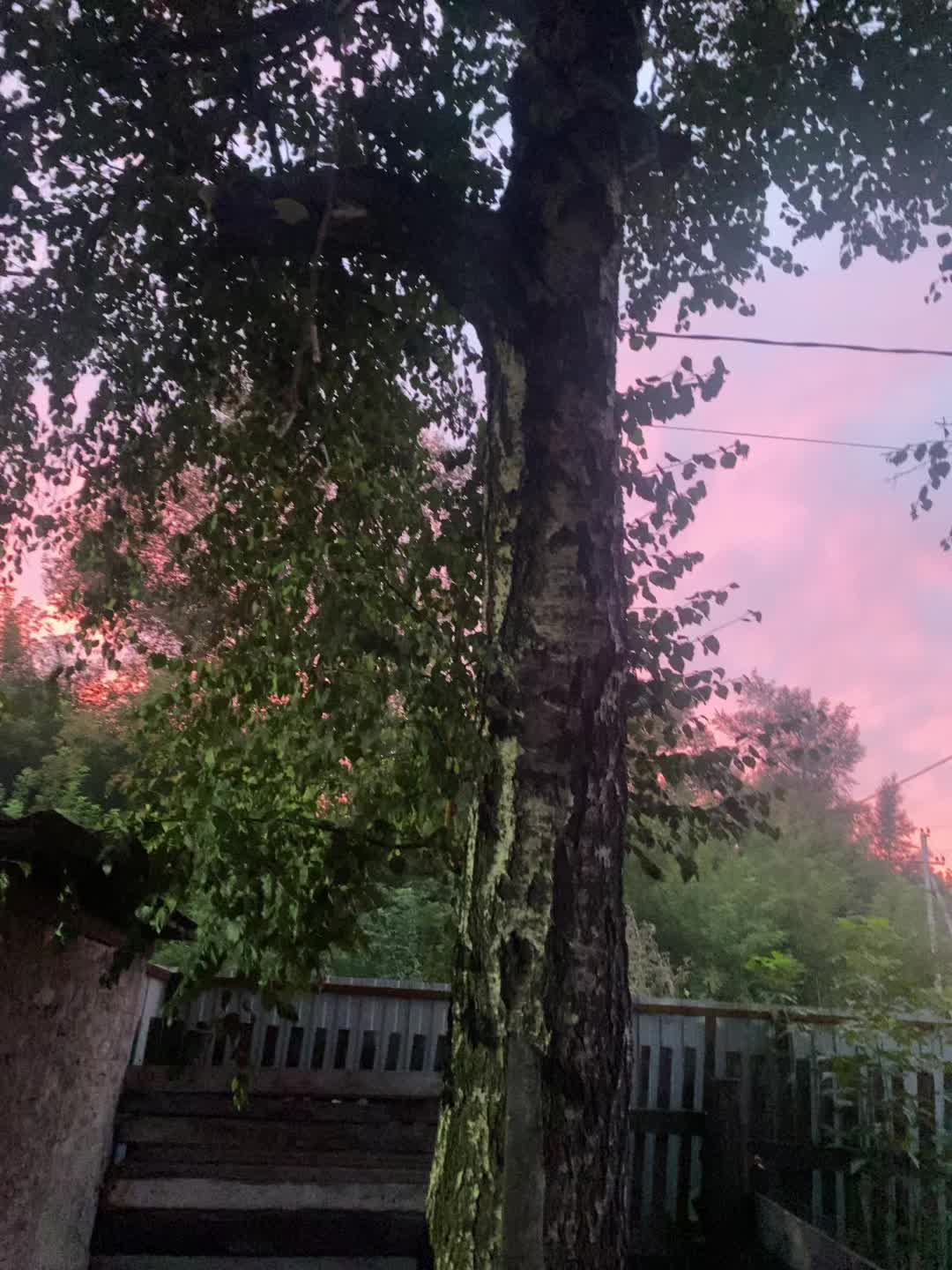 @marikli🌸