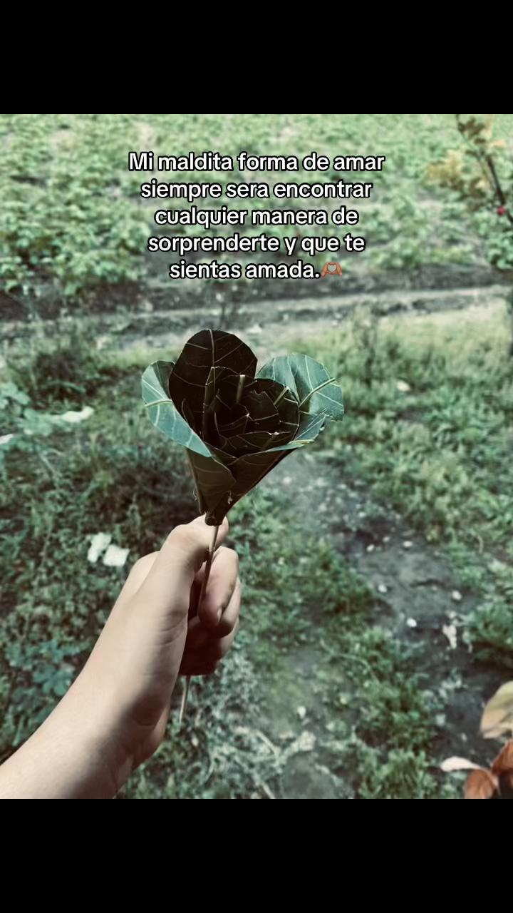 @Lucas 