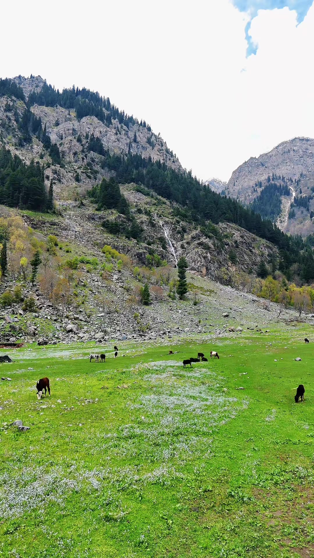 @Parachinar View