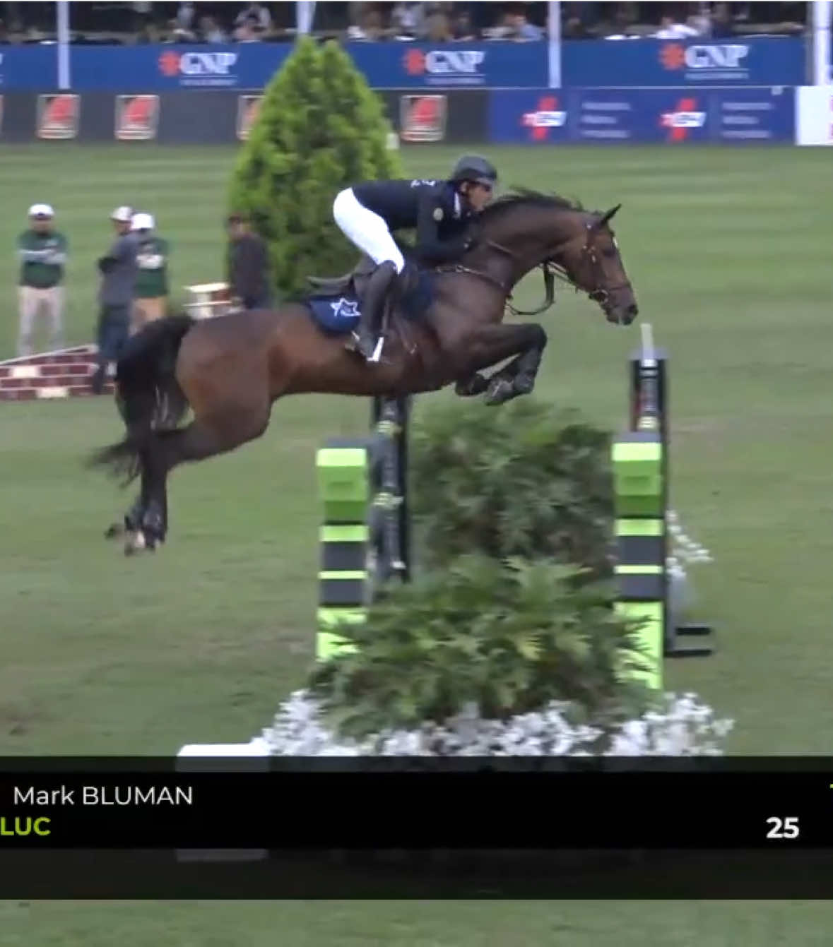 @Major League Show Jumping