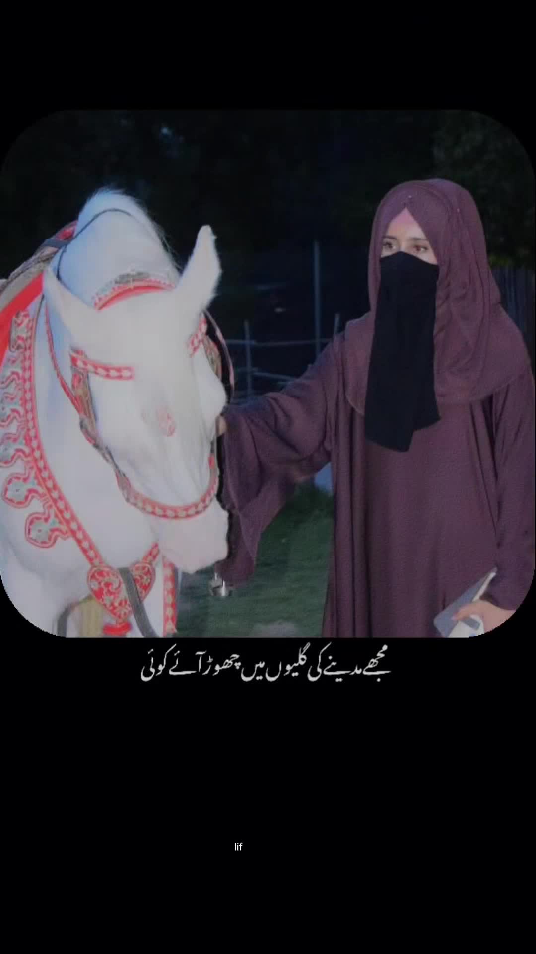 @🍂فاطمہ رضویہ🍁