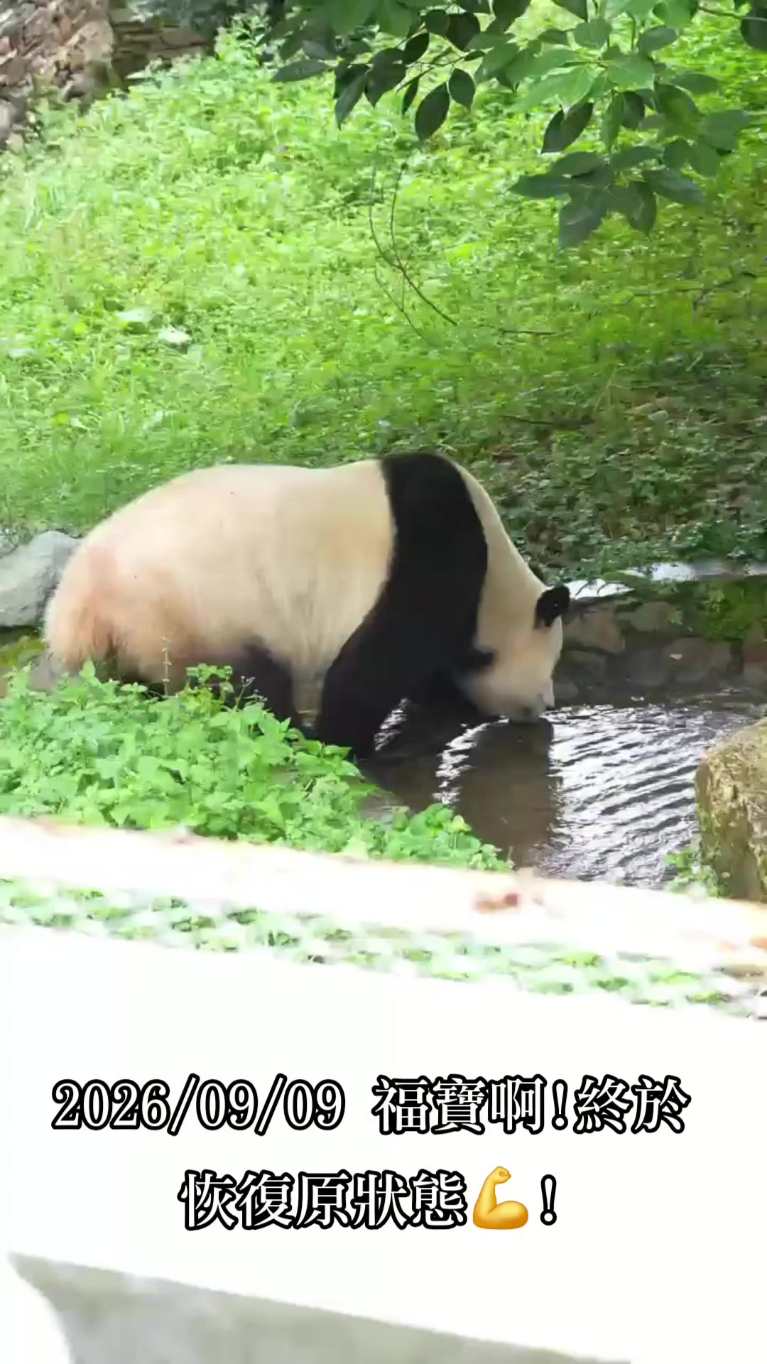 @福寶需要愛的抱抱