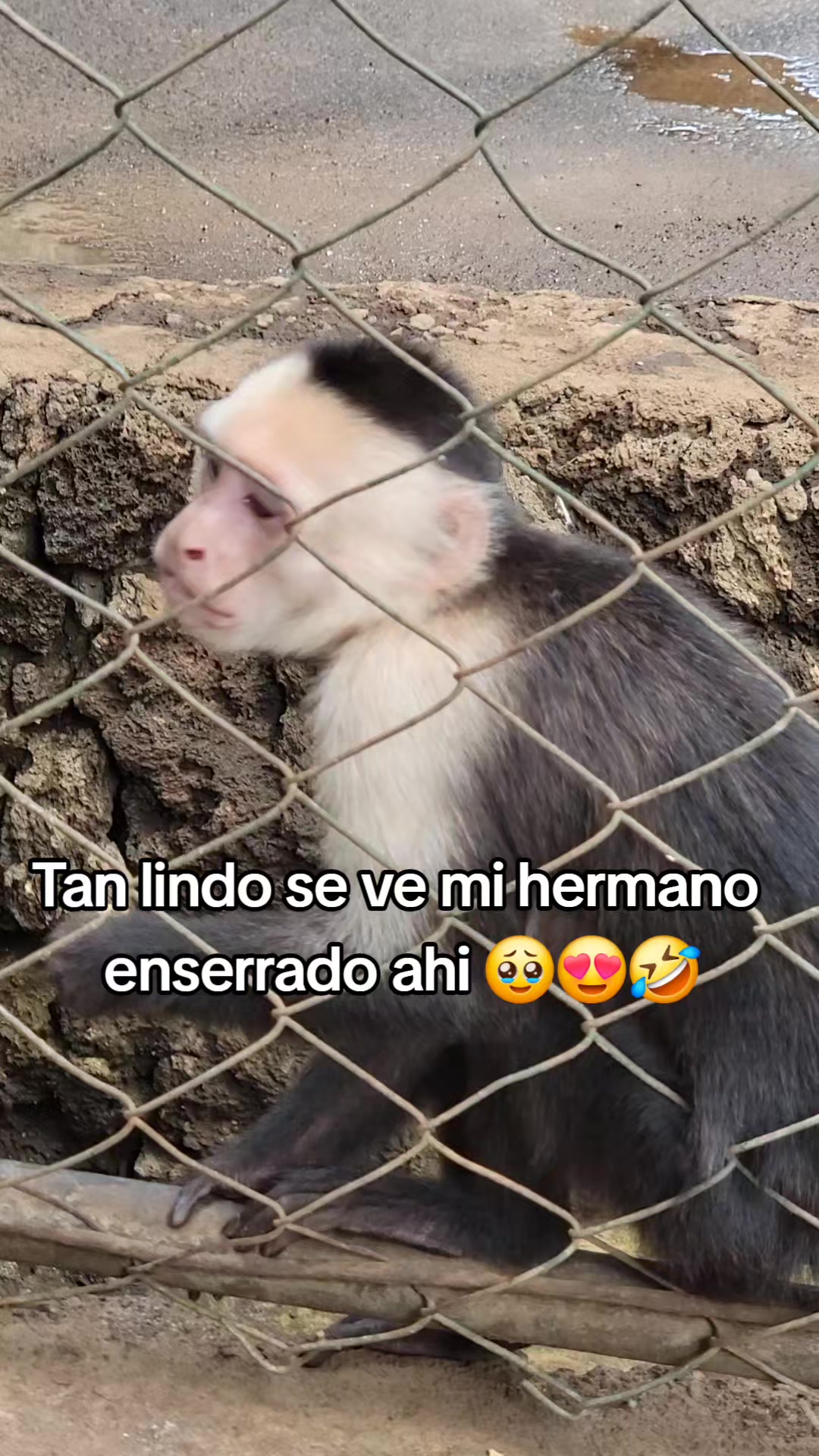 @🫧🦋Fer🦋🫧