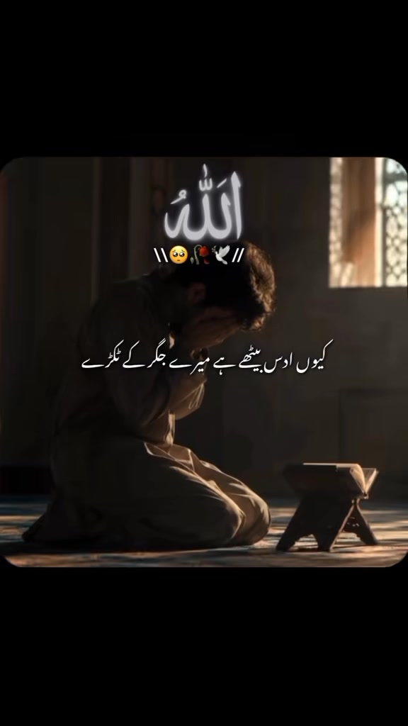@Warisbhatti 333😡
