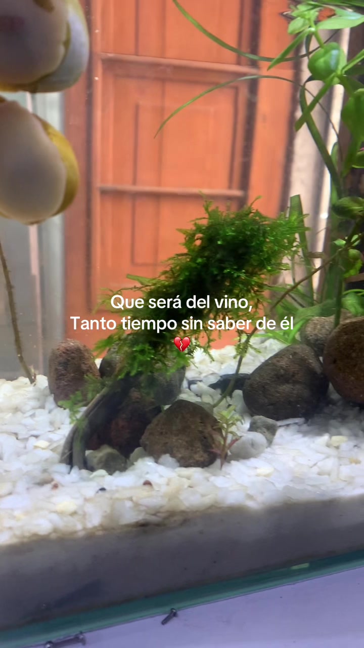 @Danuska Fernanda