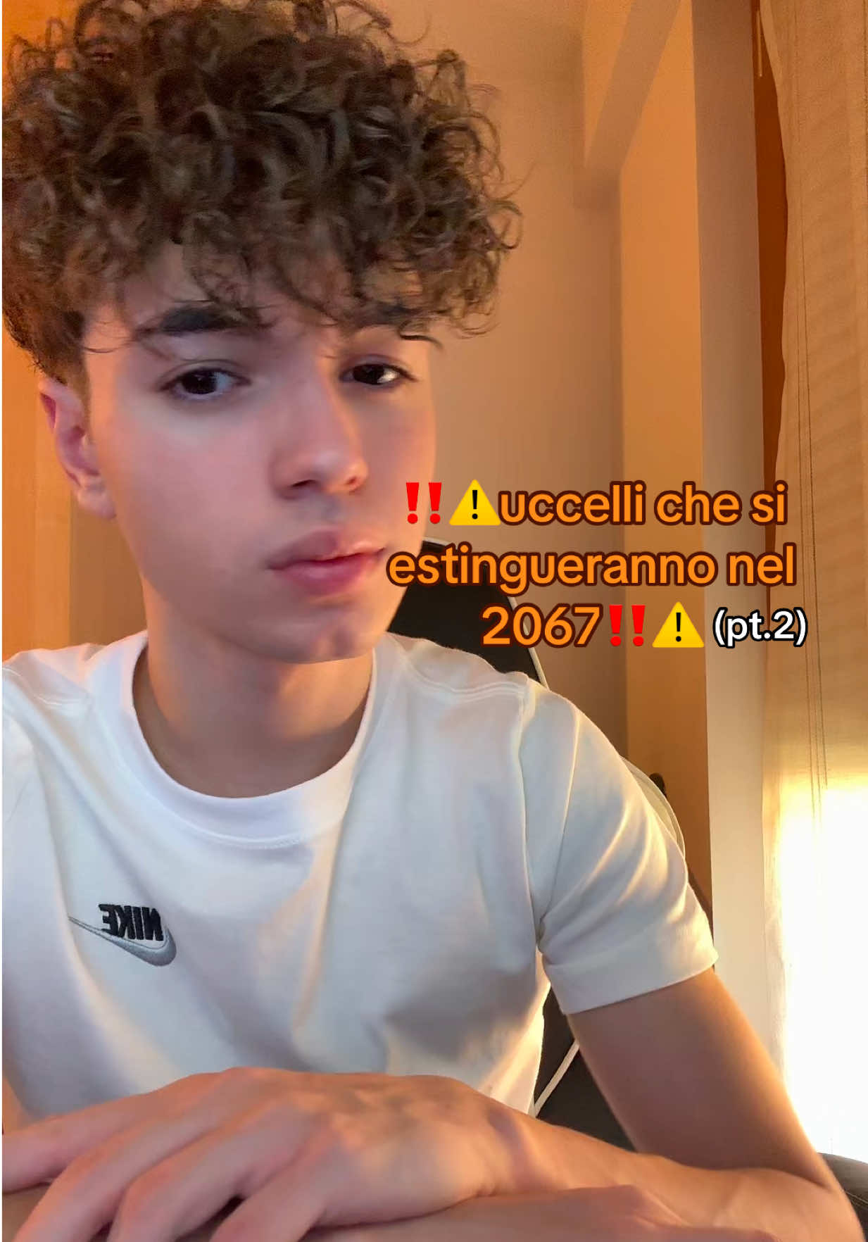 @nico7degia