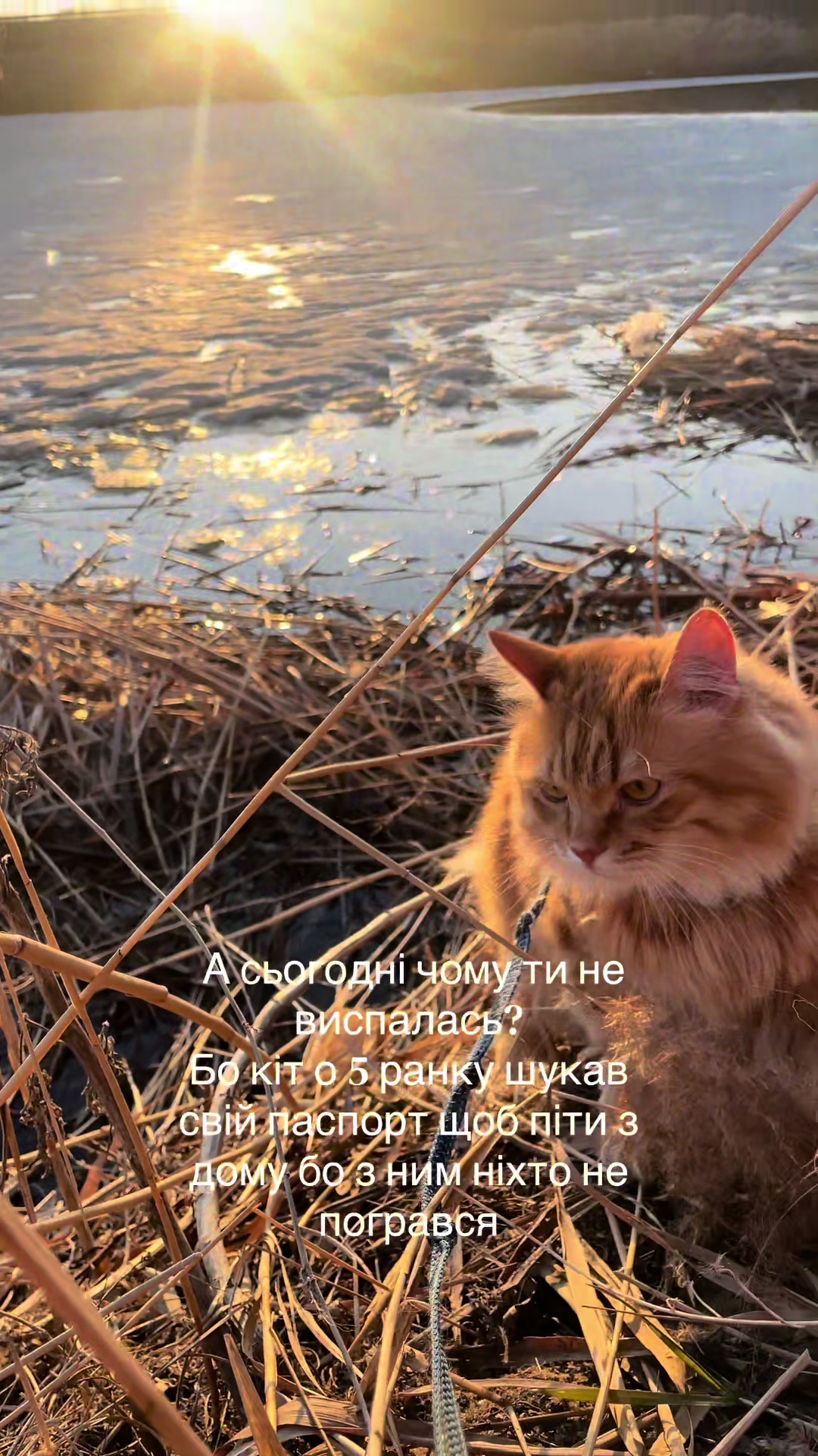 @@belirinka