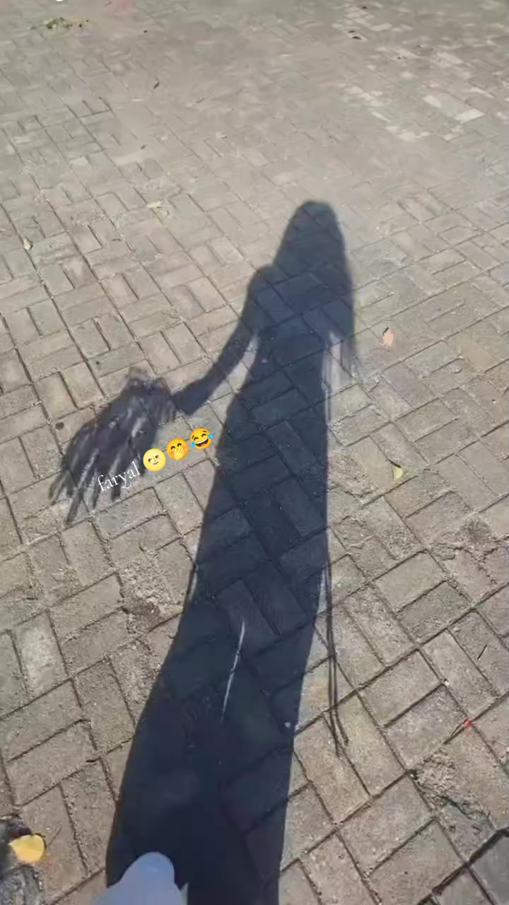 @🤍