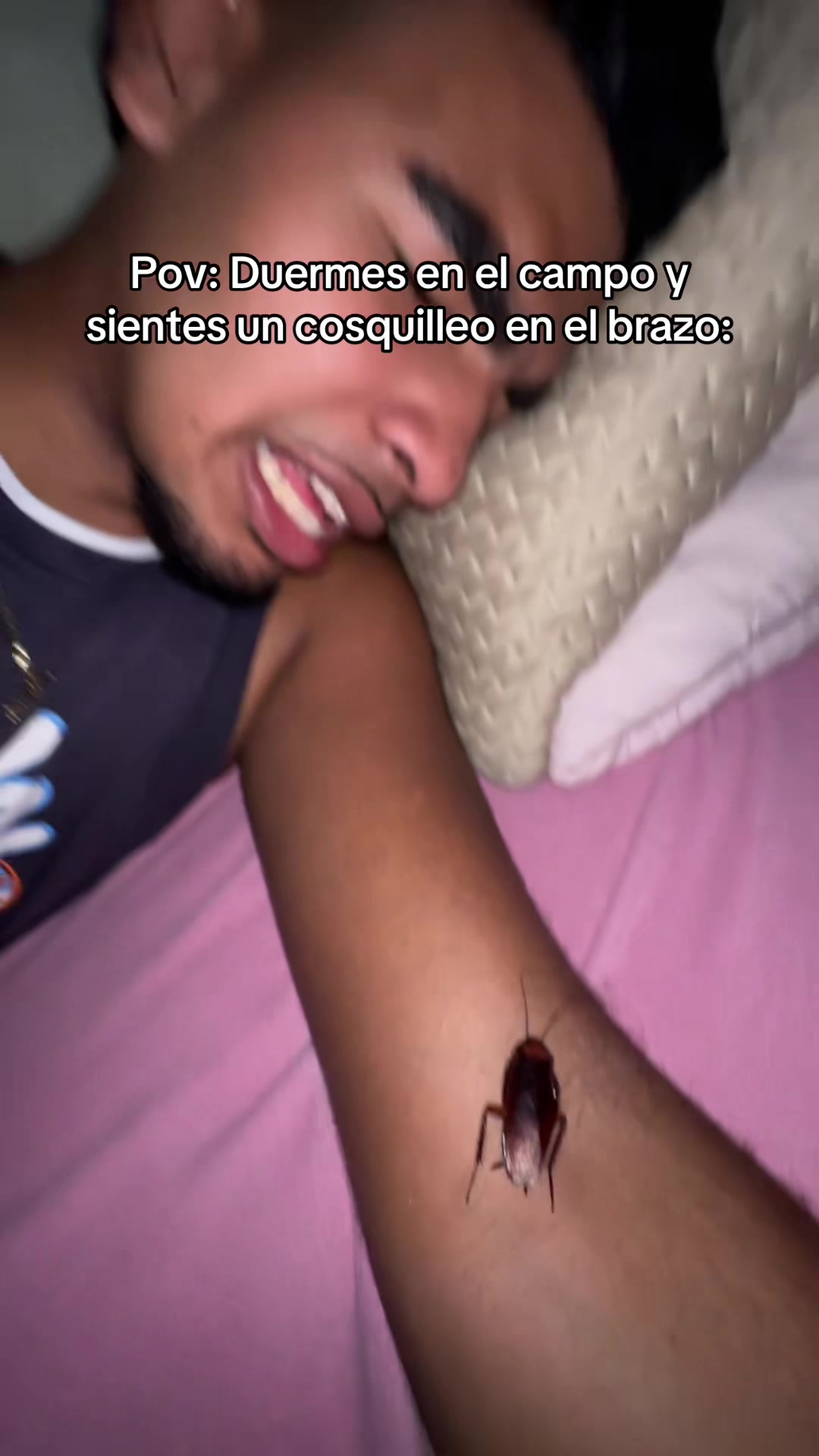 @Alexiño