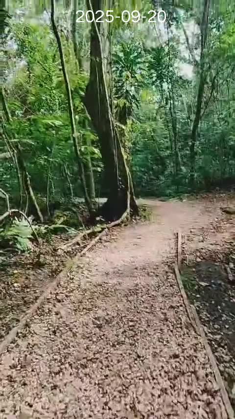 @Kinpanama 🌏