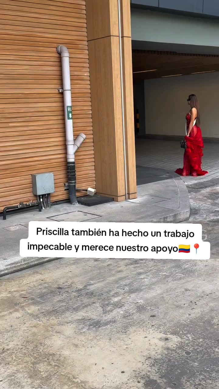 @las_top1