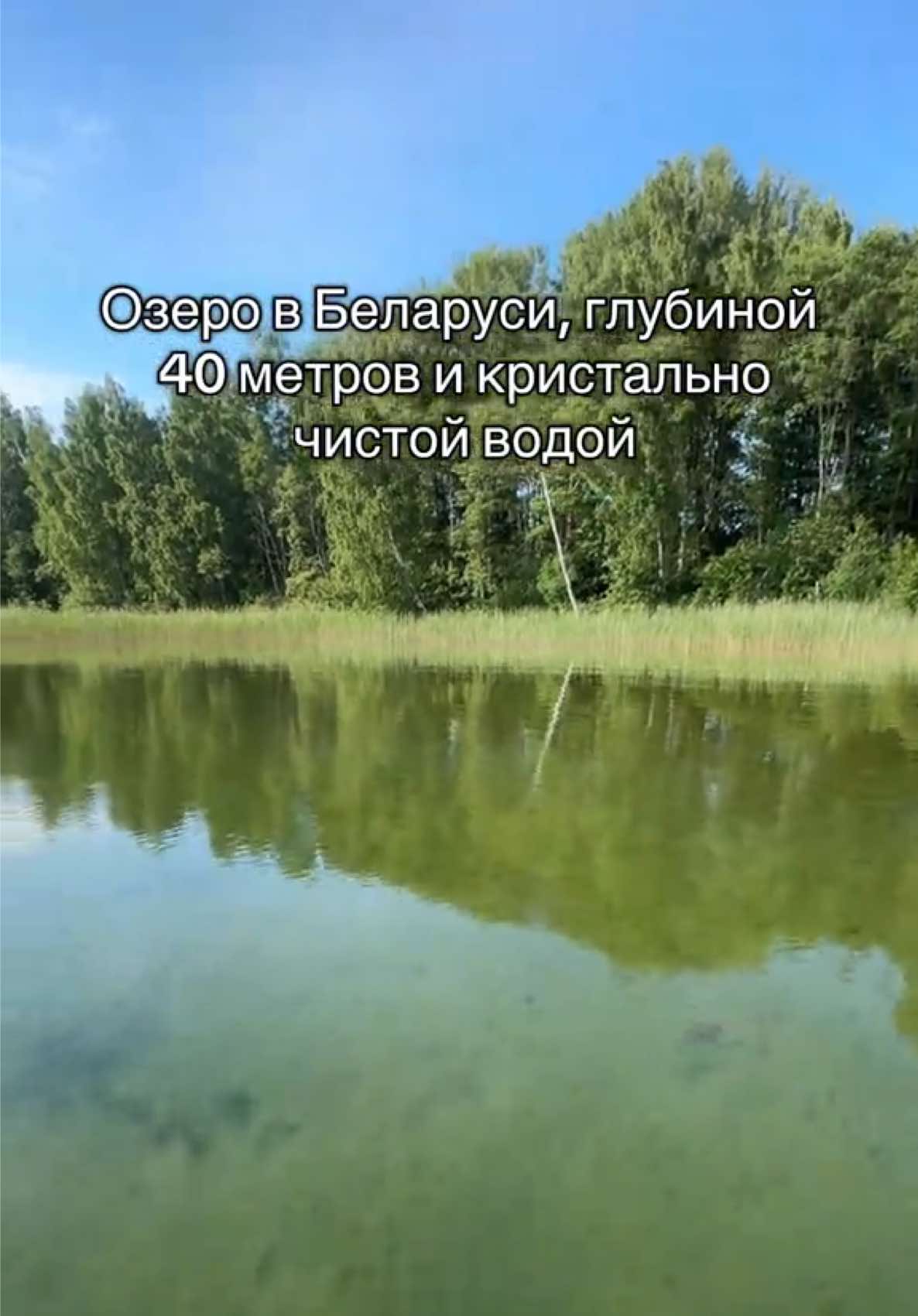 @Мілана Кахана