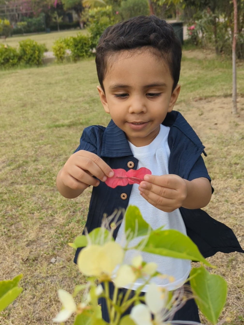 @Muhammad Abaan