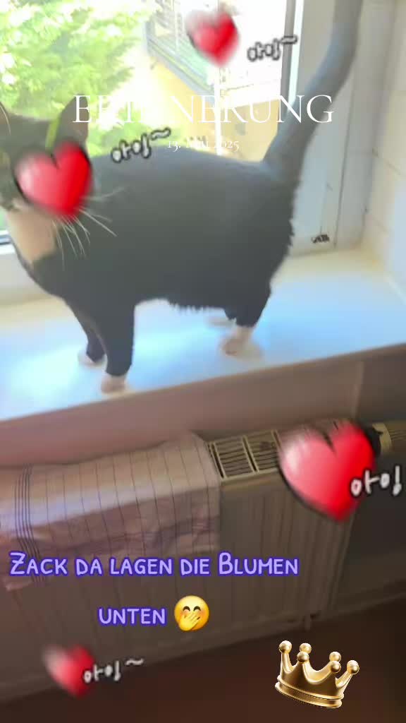 @👑😼Malia Die Königin😼👑