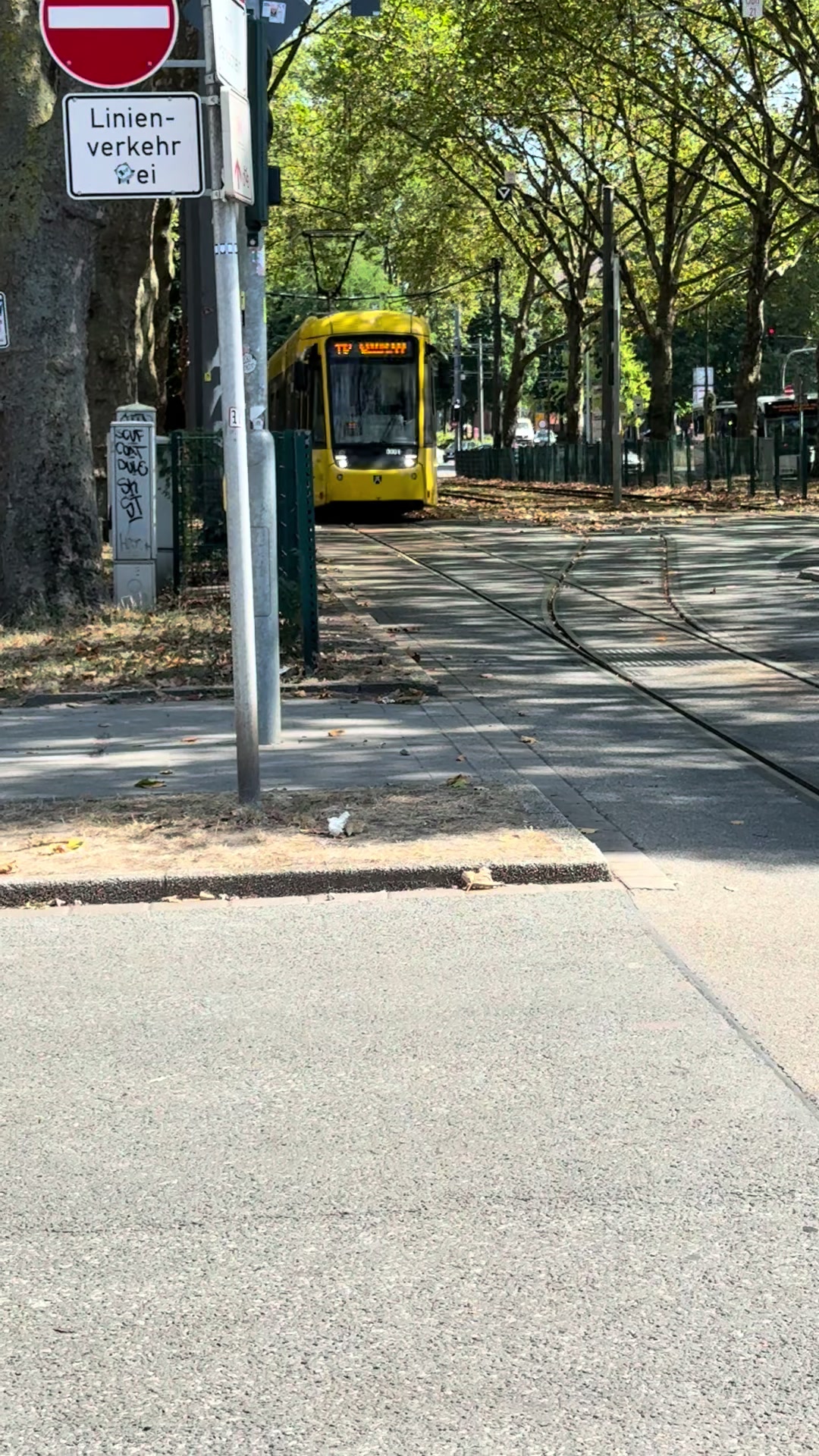 @S-Bahn TrainspotterWindeck