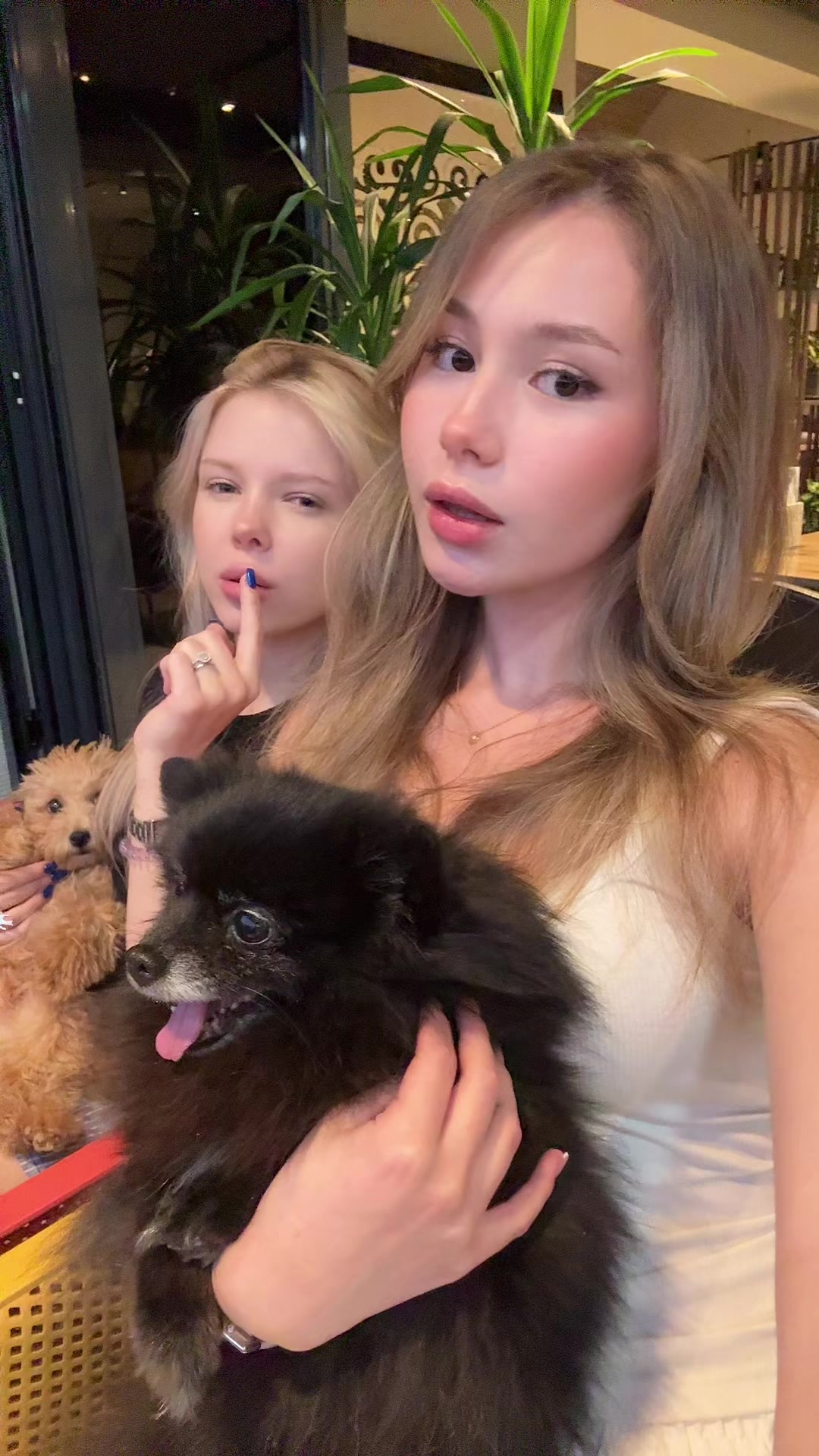 @ALKIRSENKO