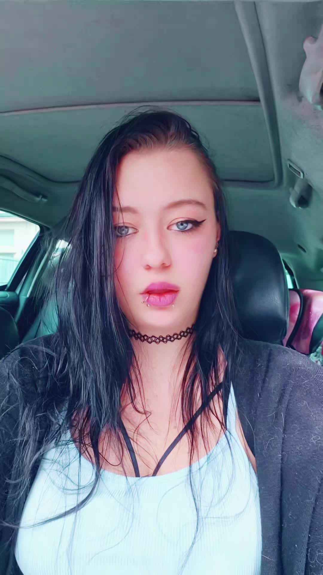 @bvb_spam