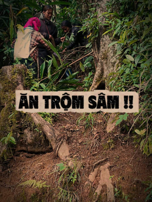 @Gió Kon Tum
