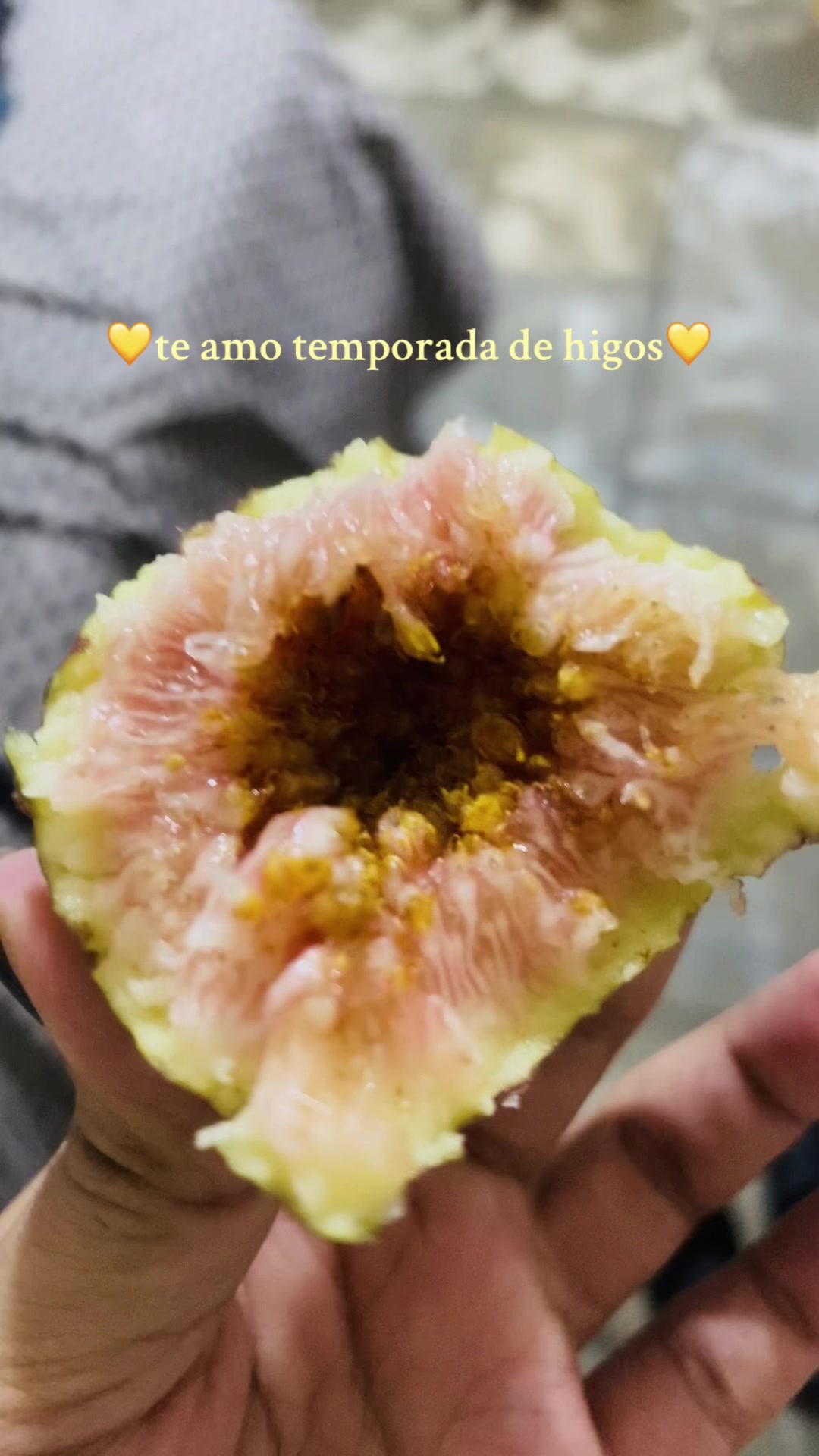 @anapau