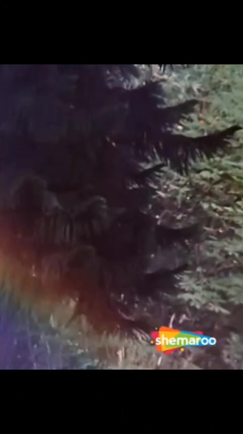 @n.m