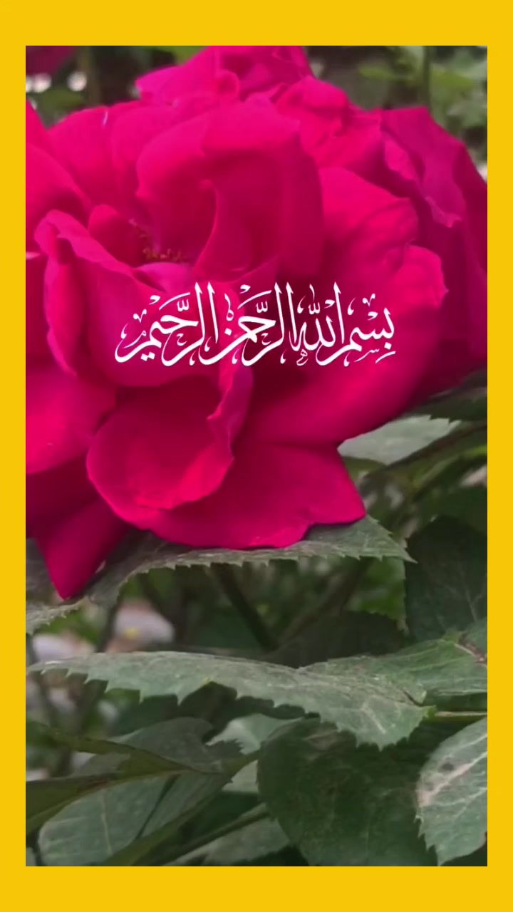 @M&ucirc;sl&icirc;m. Q&ucirc;&euml;&ecirc;&ntilde;