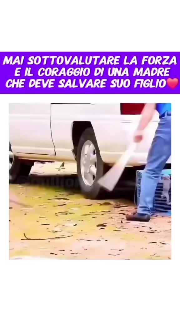 @Eleonora