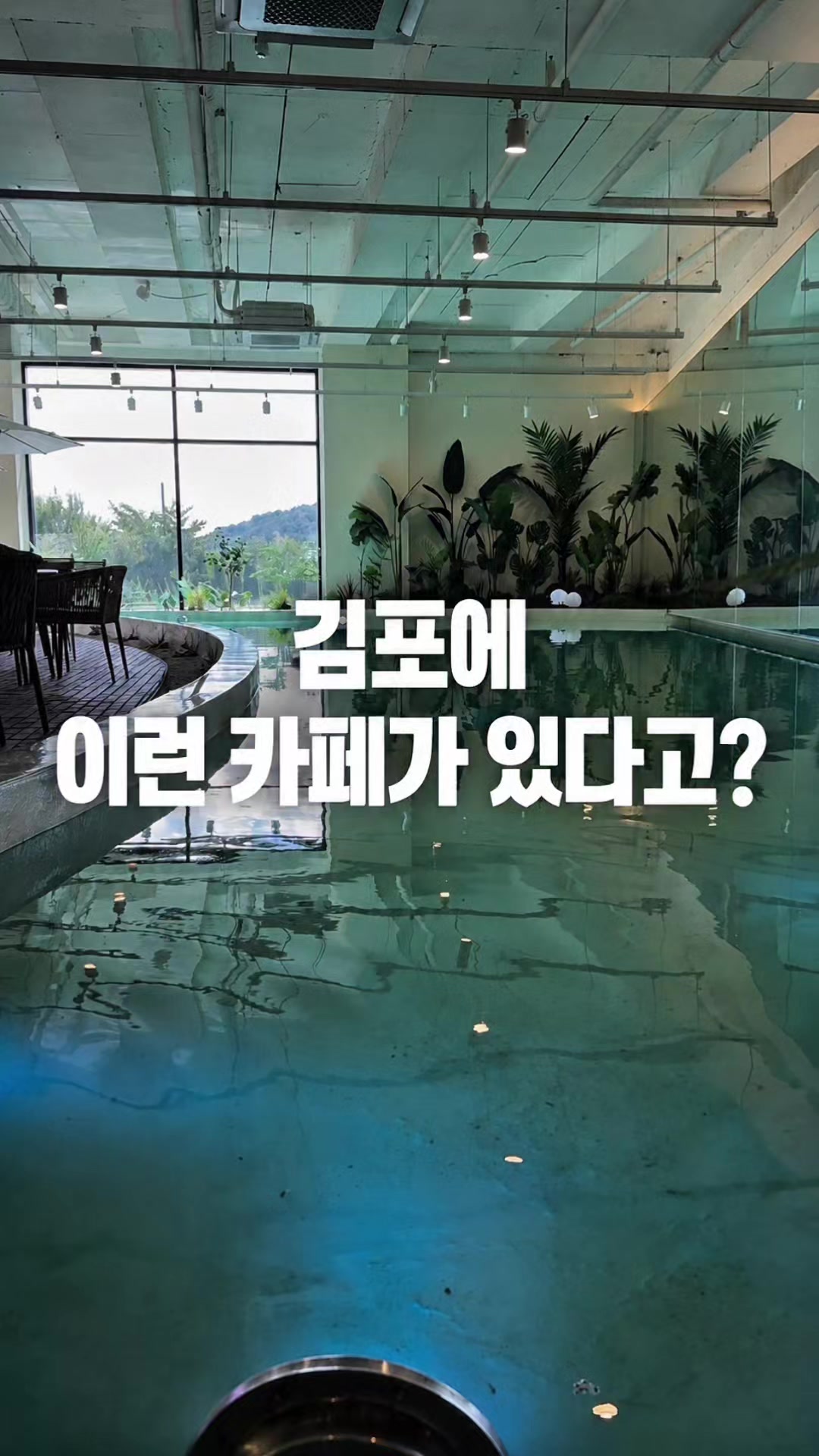 @해피문군