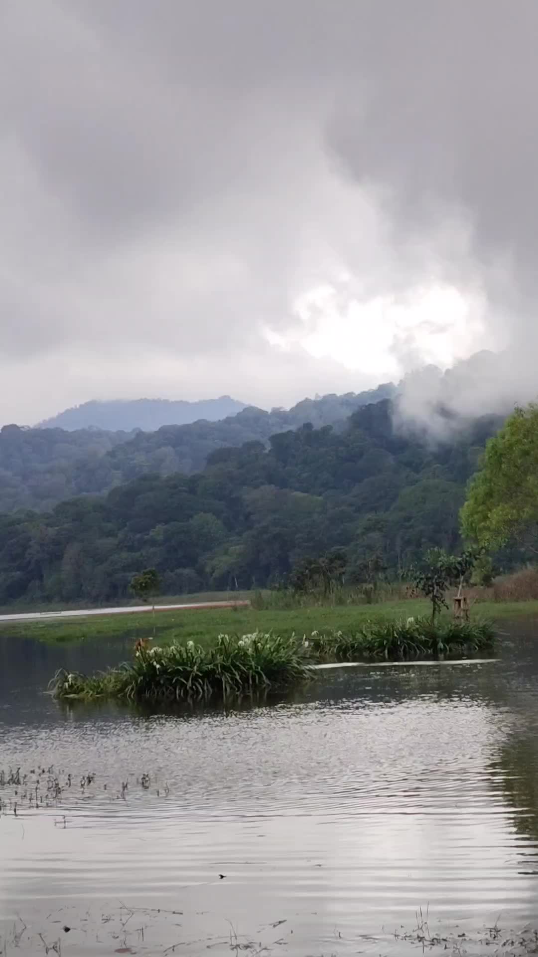 @Ketut Murdiani