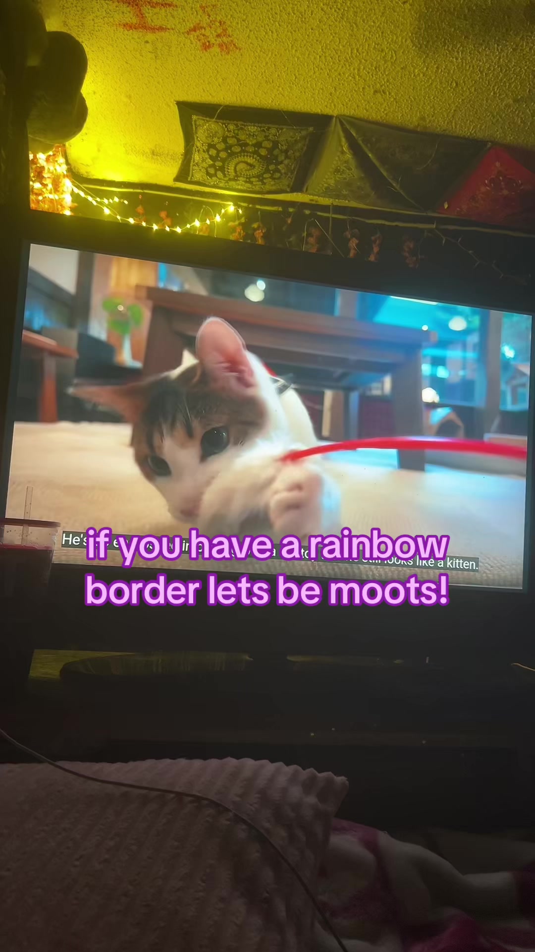 @kitti🐾🐾