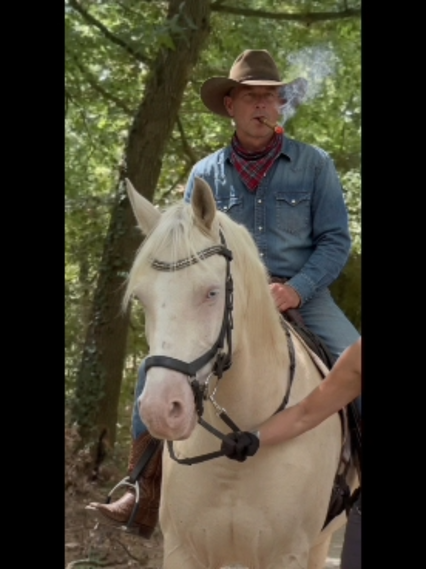 @horsehealingparadise