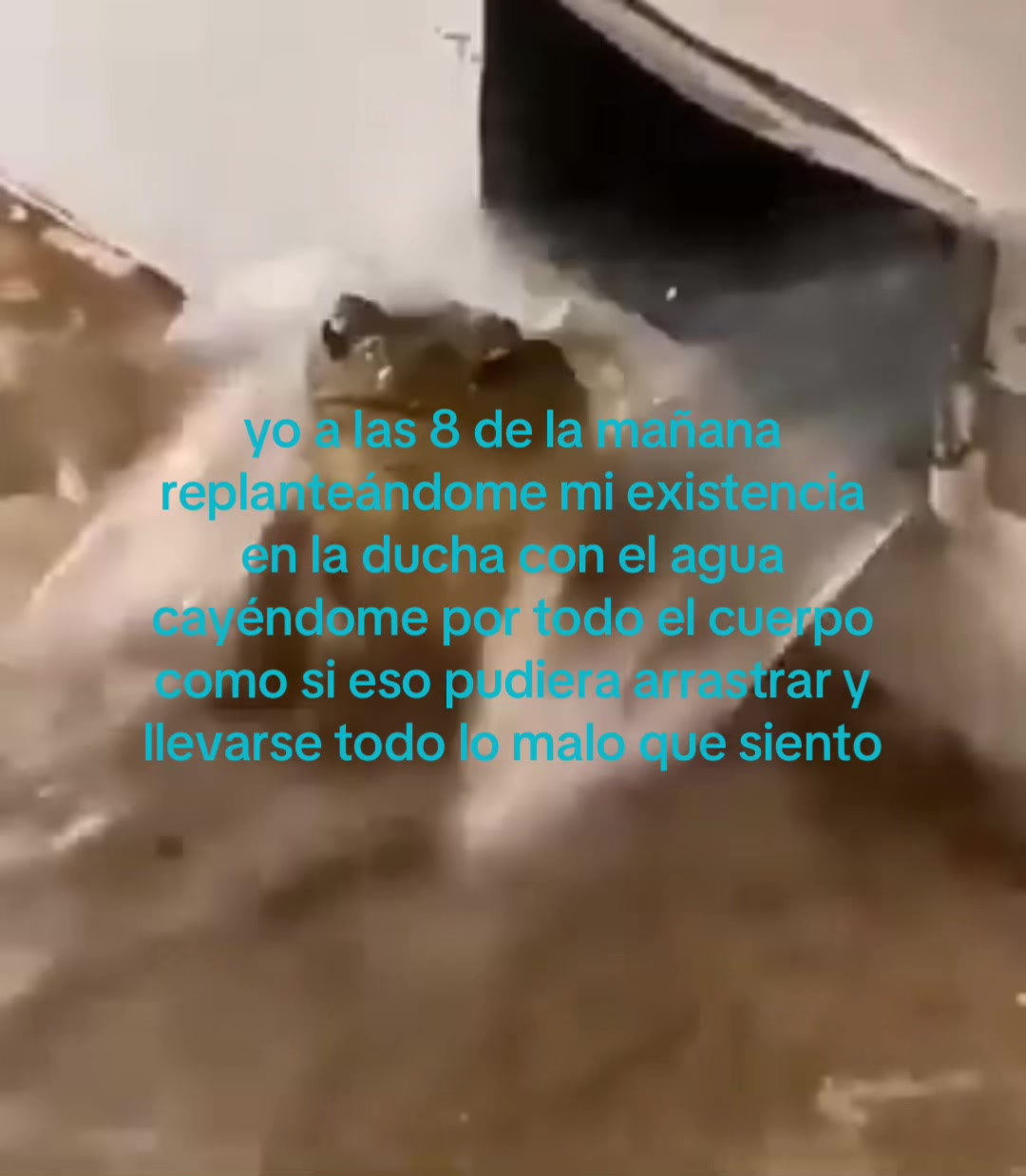 @violtereta