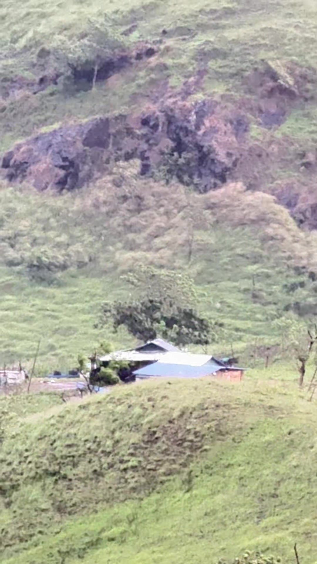 @JennyRoseAurella-Cabarles,LPT