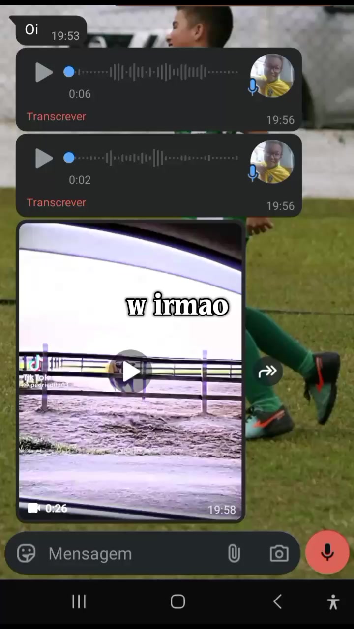 @pedroaotigrao