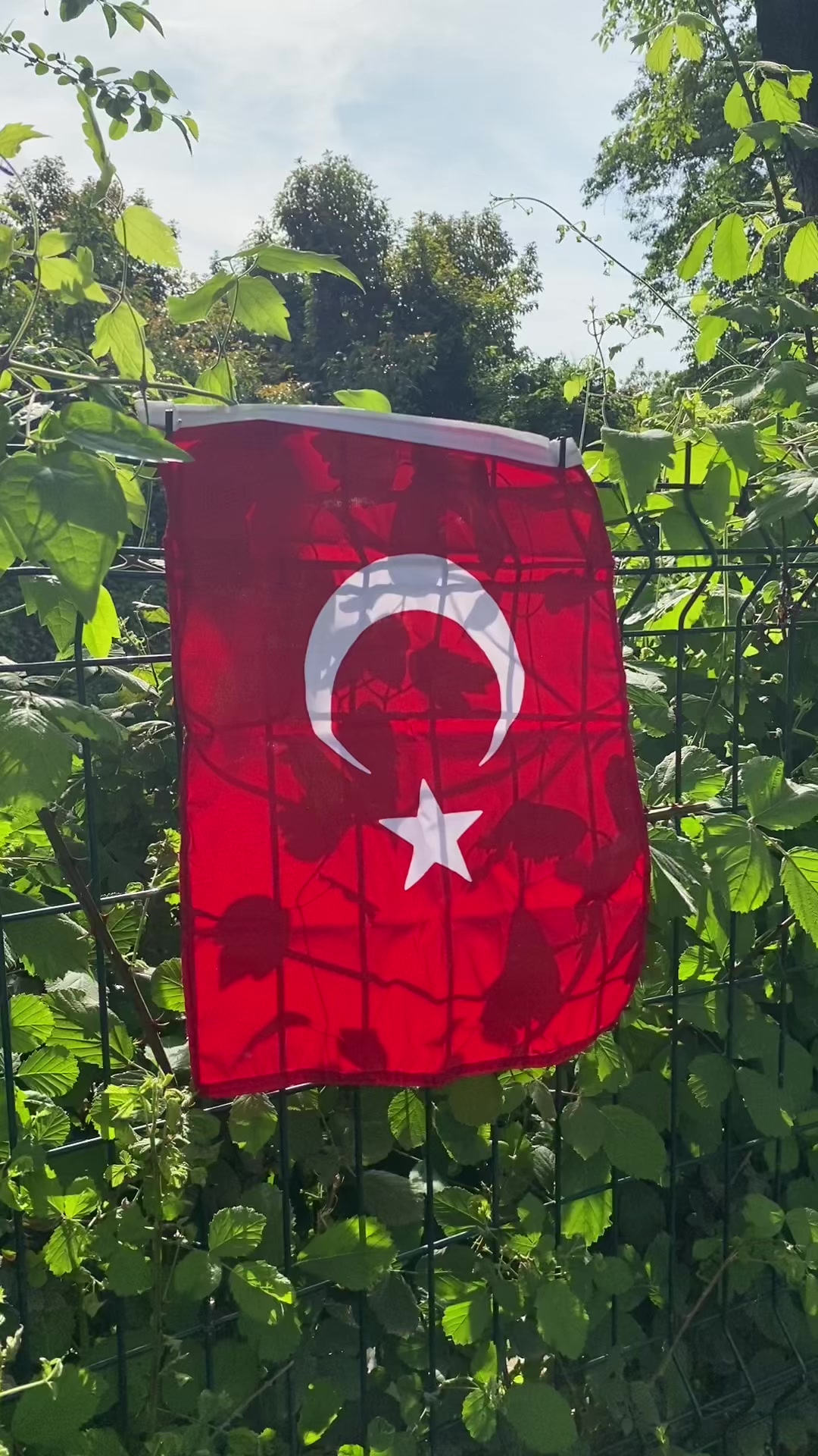 @Elif Kocaman 0707🫰🏻😘