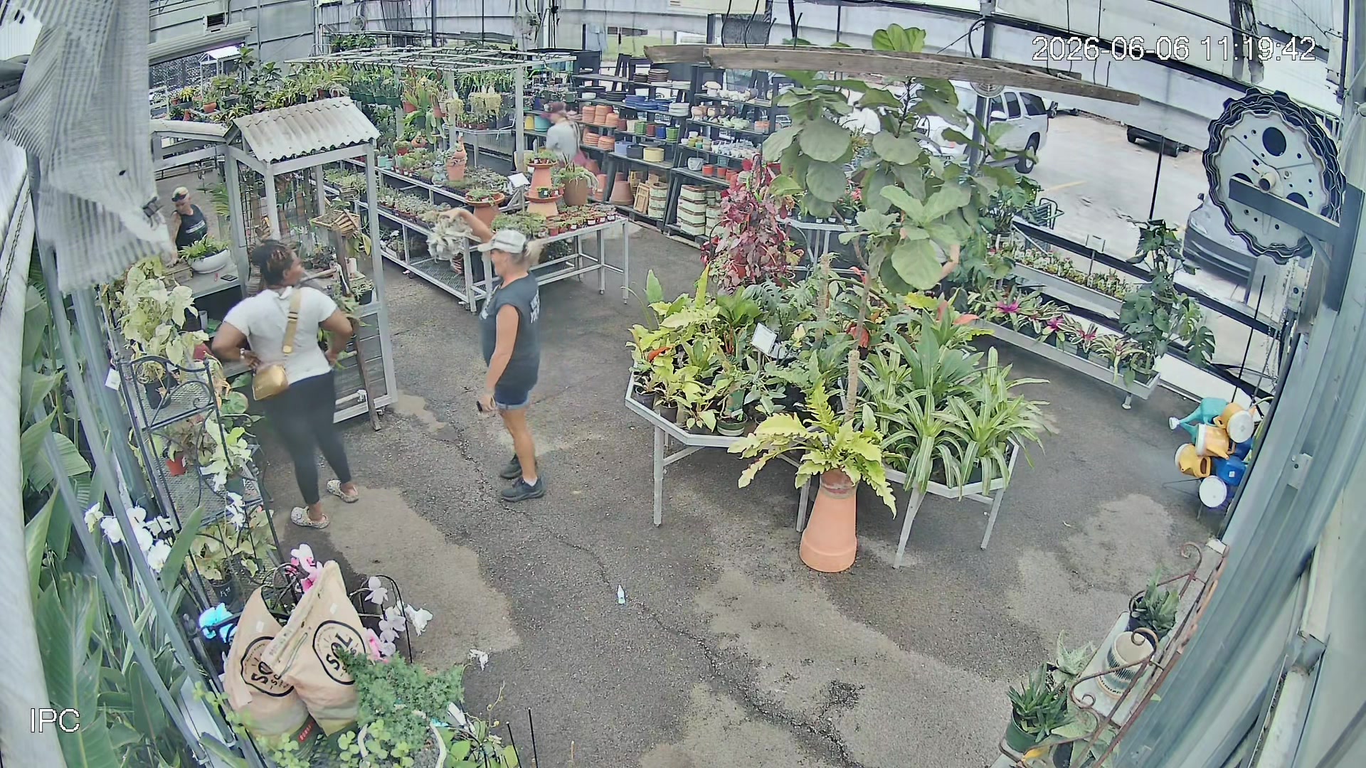 @That plant girl