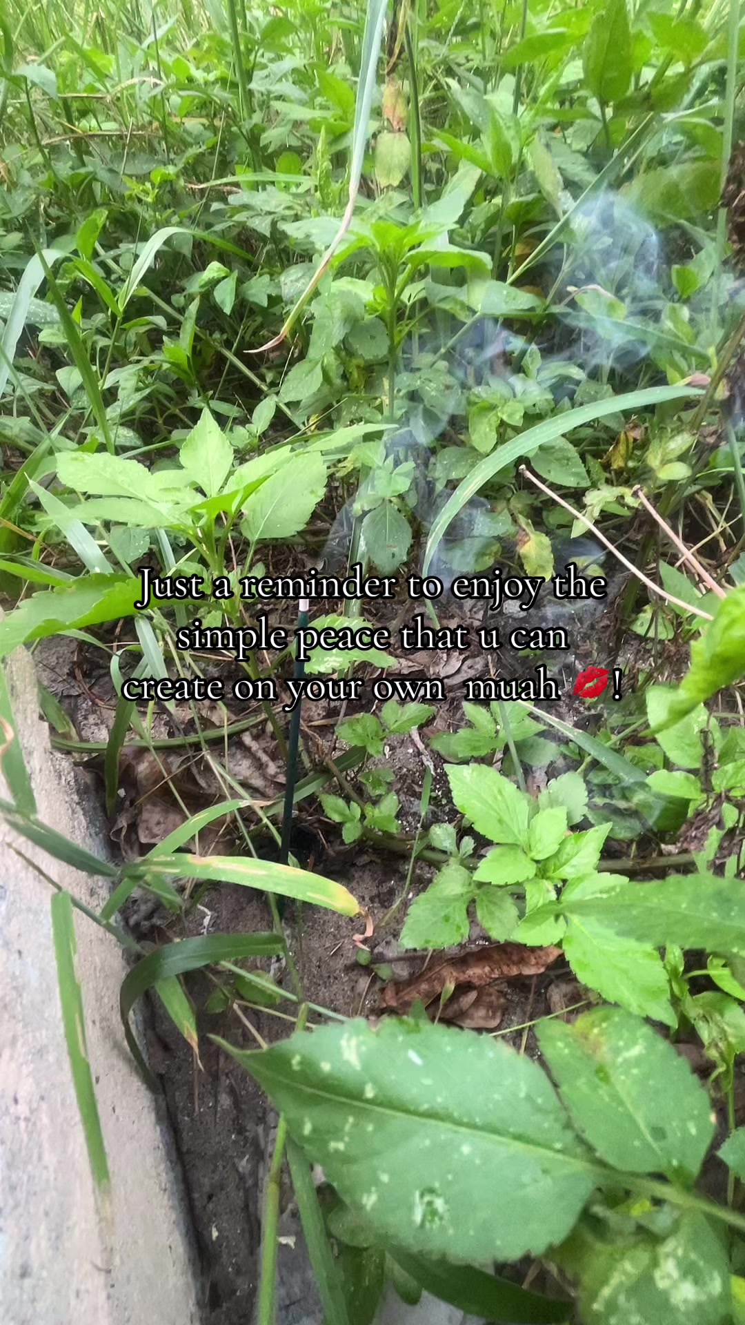 @𝑰𝒄𝒐𝒏𝒊𝒄 𝑳𝒐𝒕𝒖𝒔 🪷