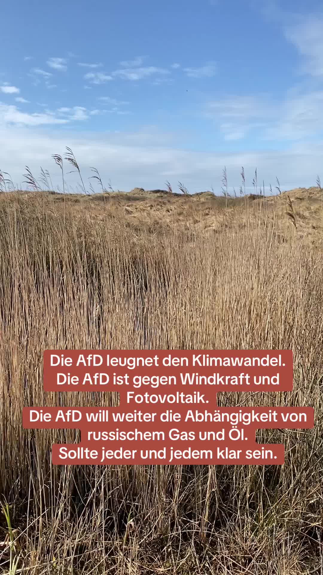 @Contra.AfD
