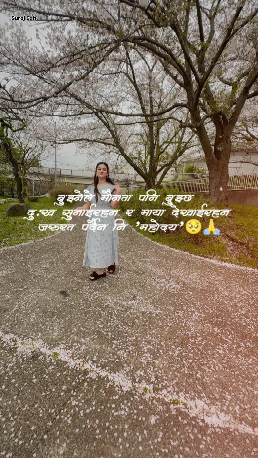 @Shova Thapa Baral