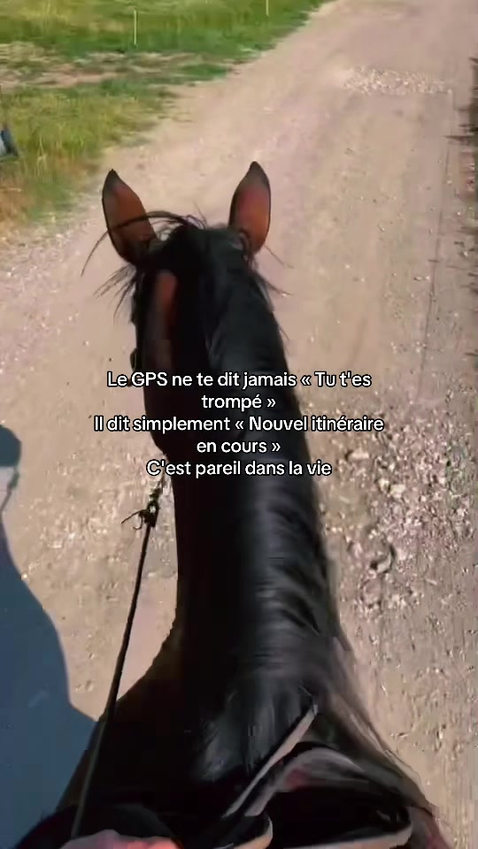 @shoot_equestres