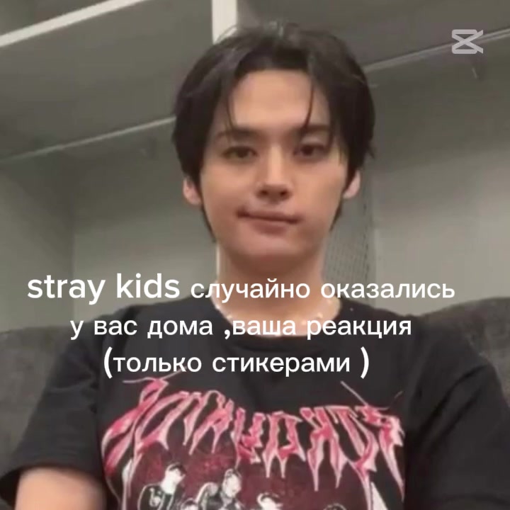 @946straykids_bts