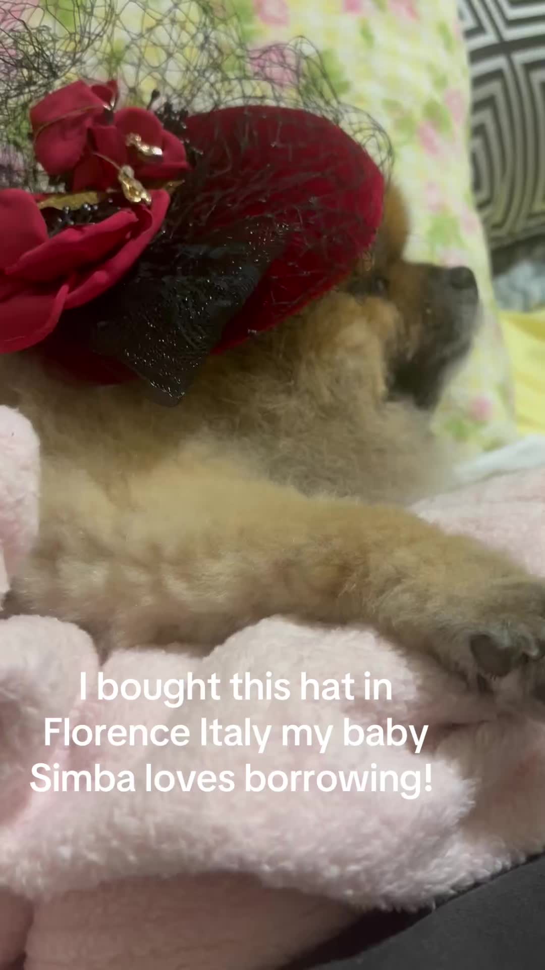 @datingwholenotbroken