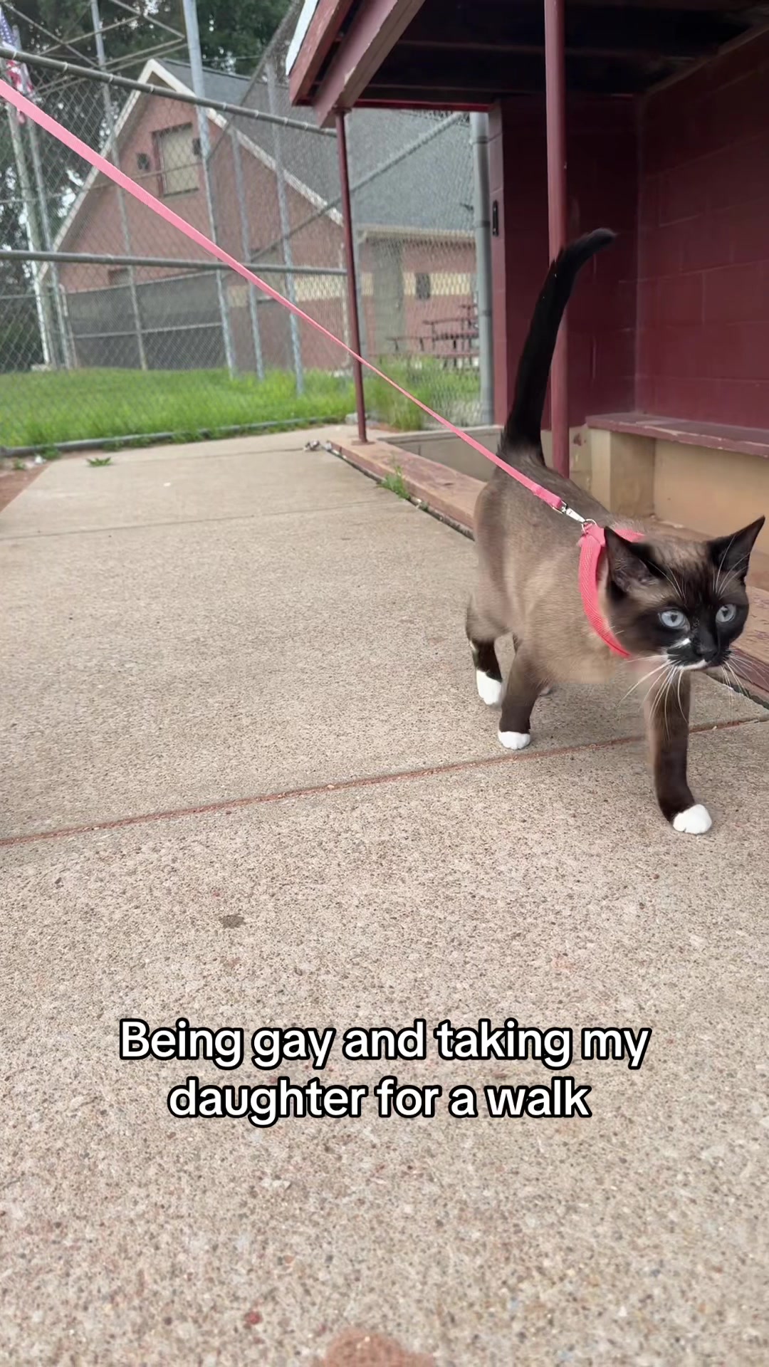 @Megan the lesbian