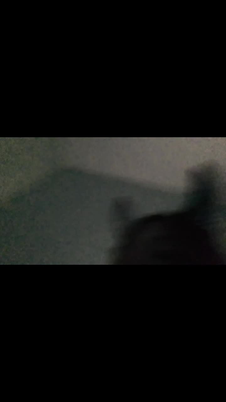 @Noche