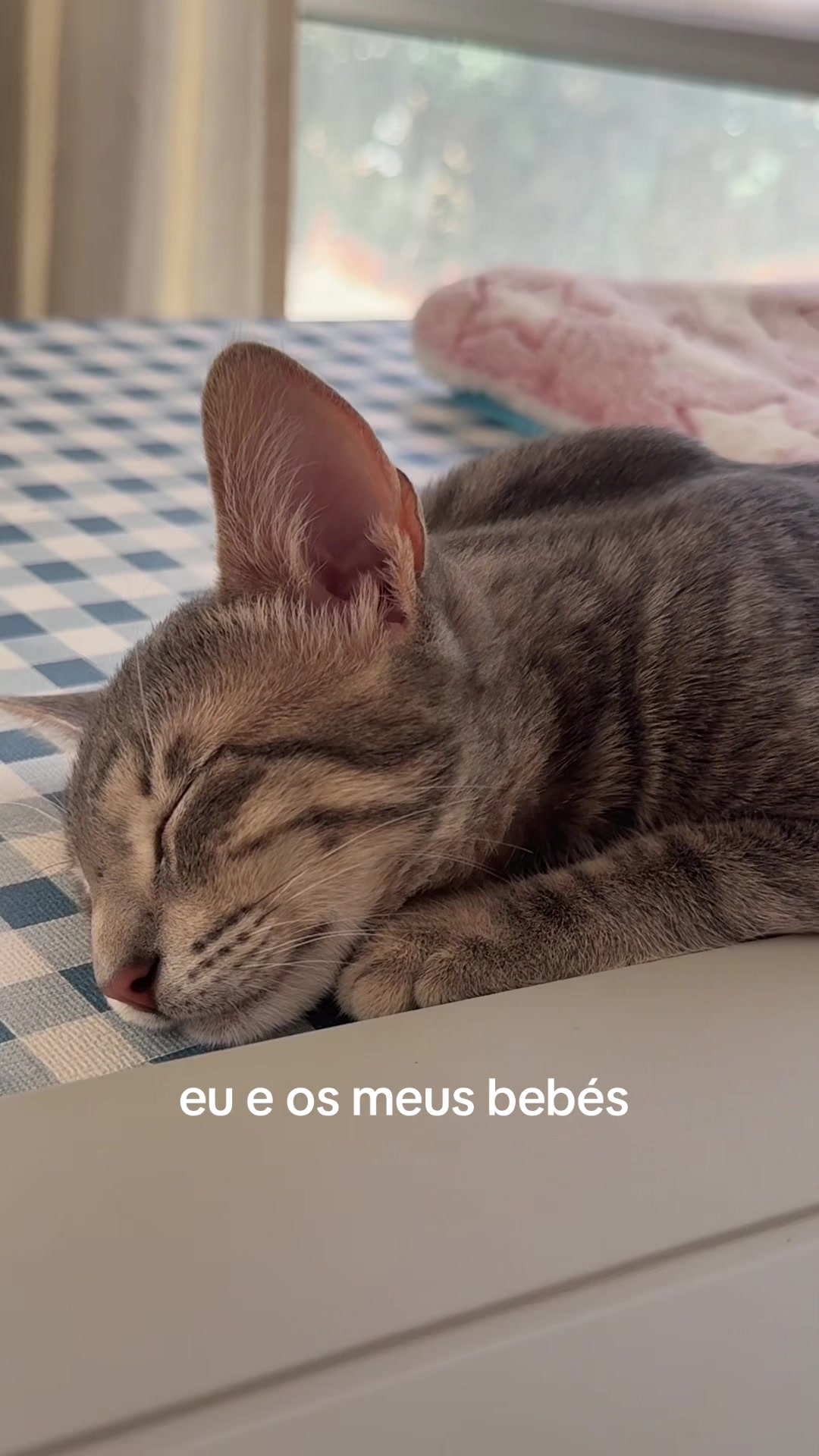 @bia